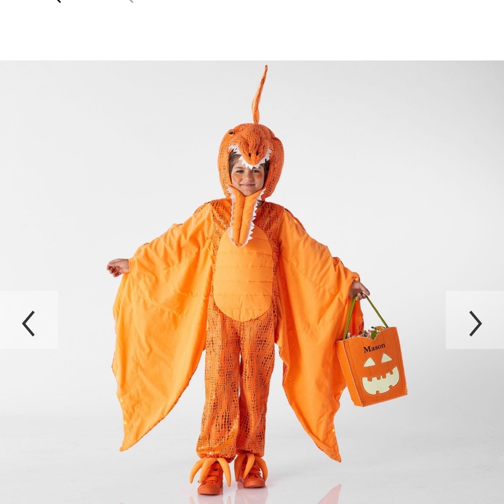Pottery Barn Kids Pterodactyl costume.